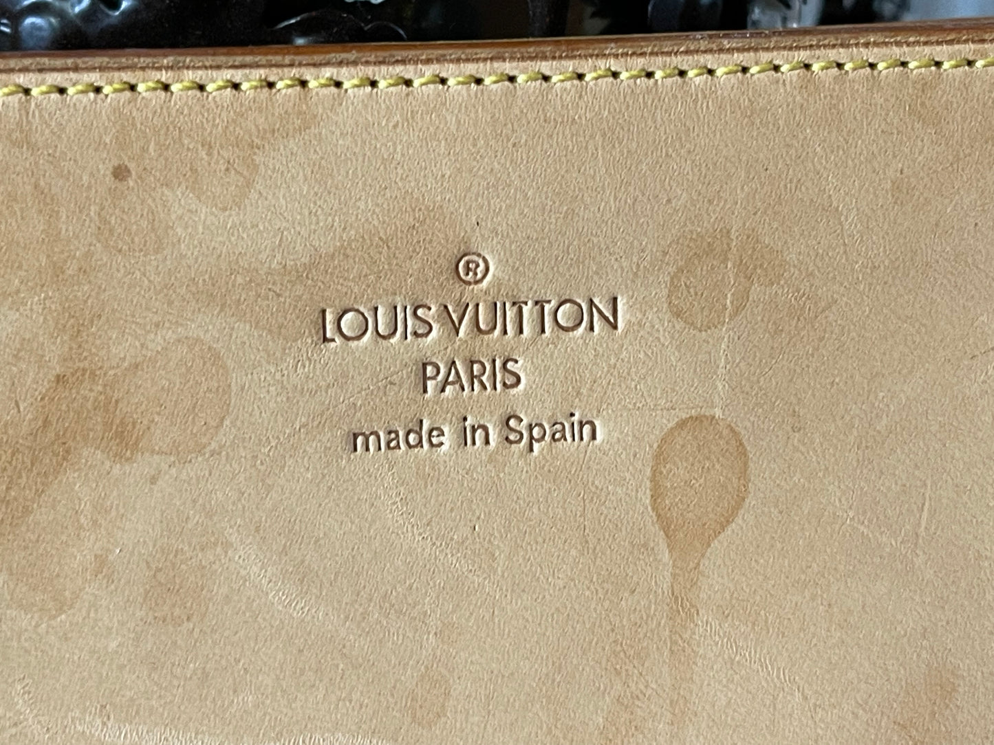 Louis Vuitton Nomade Leather Pochette